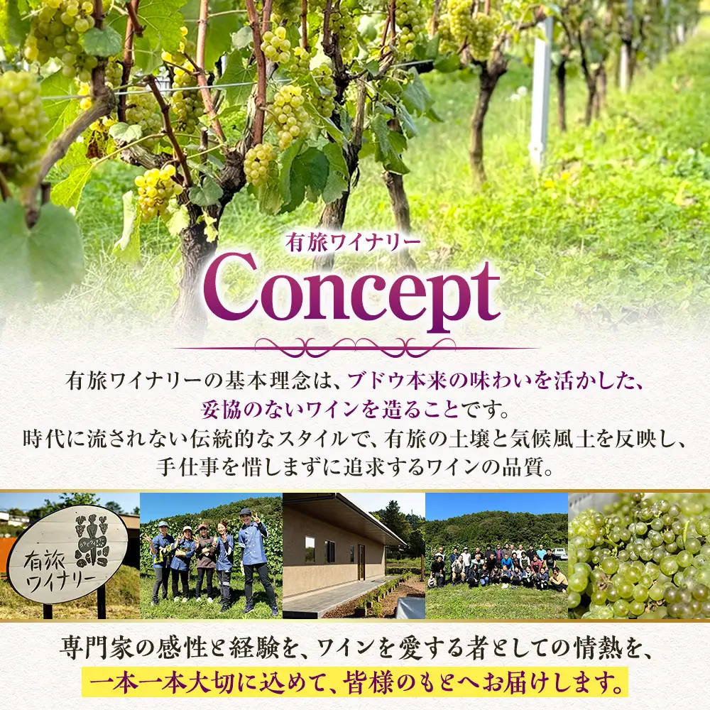 Merlot Premium Cuvee Fummy　（ワイン） |  赤ワイン ぶどう 