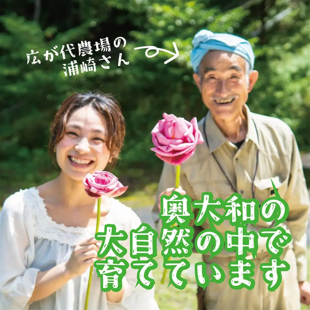 心もデトックス　秘境の『蓮かをり茶』（1袋２ｇ入り×5袋×2種類）