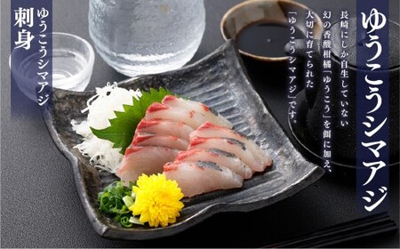 【14営業日以内発送】【premiumfishbrand】 ゆうこうシマアジ （活〆） ×1尾 （約1kg） シマアジ しまあじ 鯵 アジ あじ ゆうこう ブランド魚 魚 海鮮 九州 長崎県 長崎市 冷蔵