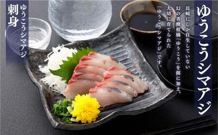 【14営業日以内発送】【premiumfishbrand】 ゆうこうシマアジ （活〆） ×1尾 （約1kg） 、 ゆうこう真鯛 （活〆） ×1尾 （約1.5kg） ／ シマアジ しまあじ 鯵 アジ あじ 真鯛 真鯛 マダイ まだい 鯛 タイ たい ゆうこう ブランド魚 魚 海鮮 九州 長崎県 長崎市 冷蔵