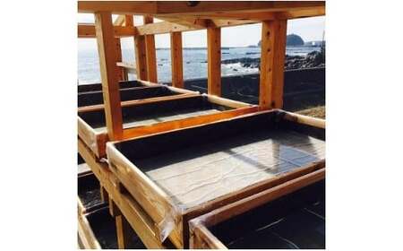 天日海塩 土佐 塩丸 白丸 お試し 30g×2袋 粗塩 粗い粒 天日塩 自然塩 海水塩 調味料 塩 小分けセット 白丸塩 振り塩 仕上げ塩 下味塩 料理用 塩 丸塩 粗粒 塩2袋 土佐の塩丸 高知 黒潮町 手作り塩 完全天日塩 塩ギフト 塩セット 塩 詰め合わせ しお 食塩 [1707]
