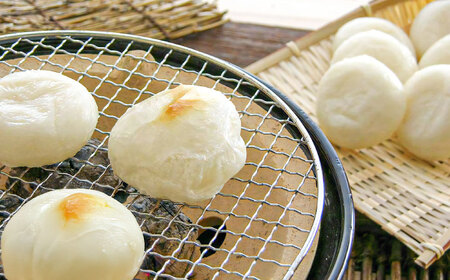 餅 杵つきまるもち 540g 4袋セット（40個）[AIBB011]