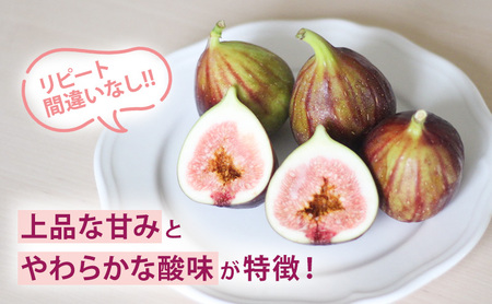 いちじく4パック入り 約350g×4パック 果物 フルーツ いちじく イチジク 無花果 食物繊維 ペクチン 貧血予防 鉄分 サラダ マリネ 国産 浜松市 静岡 【配送不可：北海道・沖縄・離島】 