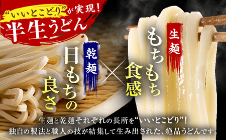 【12回定期便】伝統の味 藤井製麺 さぬきうどん 包丁切り 半生300g（つゆ付き）| 定期便 うどん つゆ だし おすすめ 人気 名物 料理 讃岐うどん グルメ うどんセット うどん香川 ギフト 小分け 讃岐 香川県 三木町 |_mk041-t019