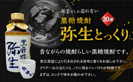 奄美 でしか造れない 黒糖焼酎 みんがめ 30度 900ml ＆ 弥生とっくり 30度 720ml 2本入セット A185-031 焼酎 酒 お酒 アルコール 黒糖 本格焼酎 弥生 ロック 水割り お湯割り 美味しい 川崎商店 ふるさと納税 鹿児島 奄美市 おすすめ ランキング プレゼント ギフト