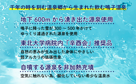 水 温泉水 ブルーインパル水 500ml×24本 鳴子温泉の天然温泉水 大崎市 ボディプラスインターナショナル