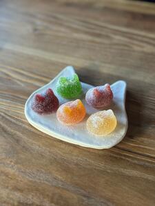 しょこら亭 猫チョコ（4個入）＆ シャ・ド・フリュイ（5個入） 各1セット  お菓子 菓子 スイーツ チョコレート 洋菓子 フランス伝統菓子 贈答 1Z42014
