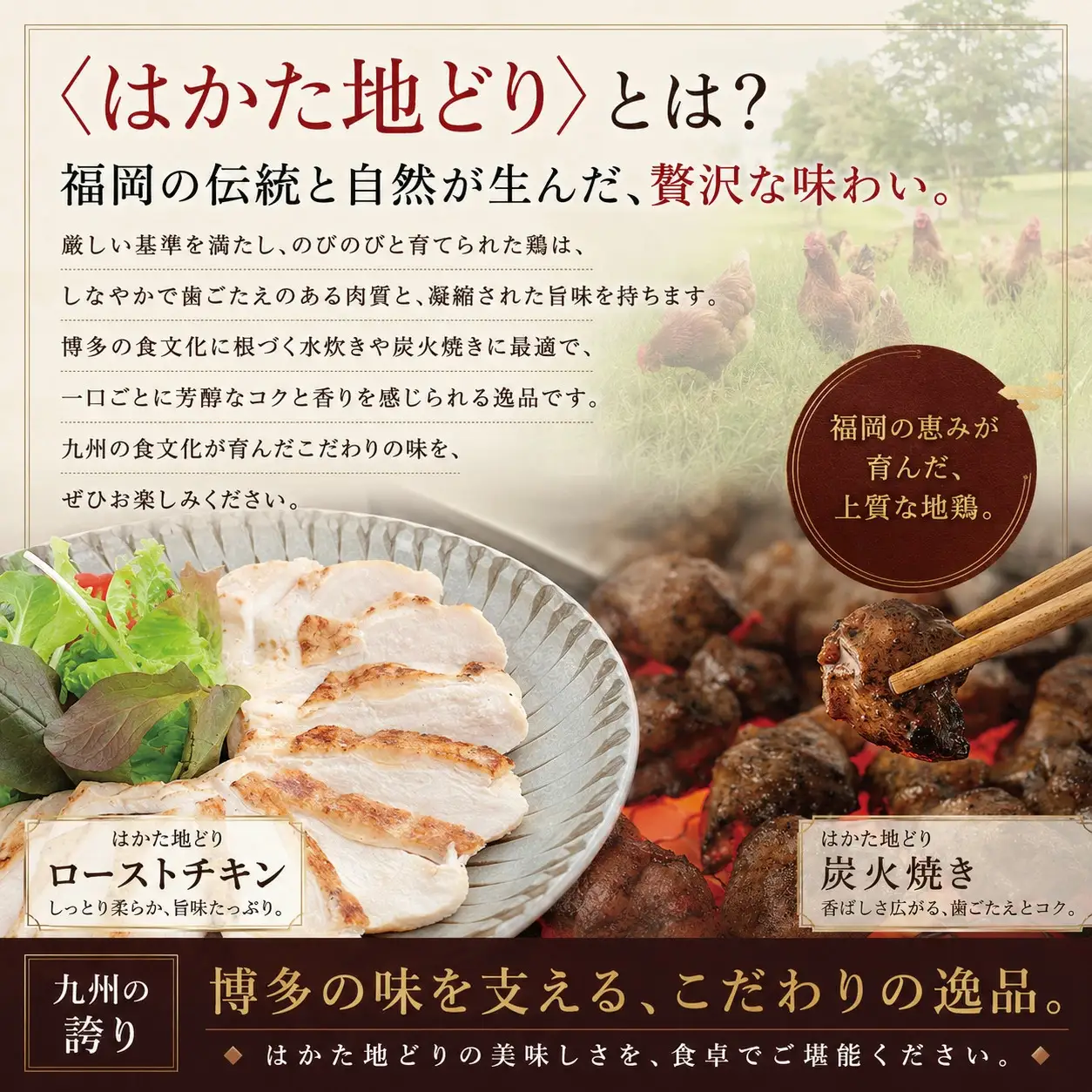 はかた地どりローストチキン2kg・つぶ明太500g [M953-1]