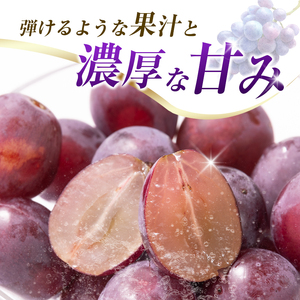 【令和8年発送 先行予約】小林市産 ピオーネ 2kg（ぶどう ブドウ ピオーネ フルーツ 果物 くだもの 先行受付 限定）