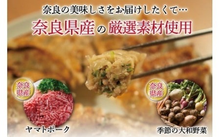 ヤマトポークの大和餃子 120個入り