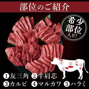 常陸牛5種焼肉セット希少部位入り（４～５人前１kg)（NW-13）