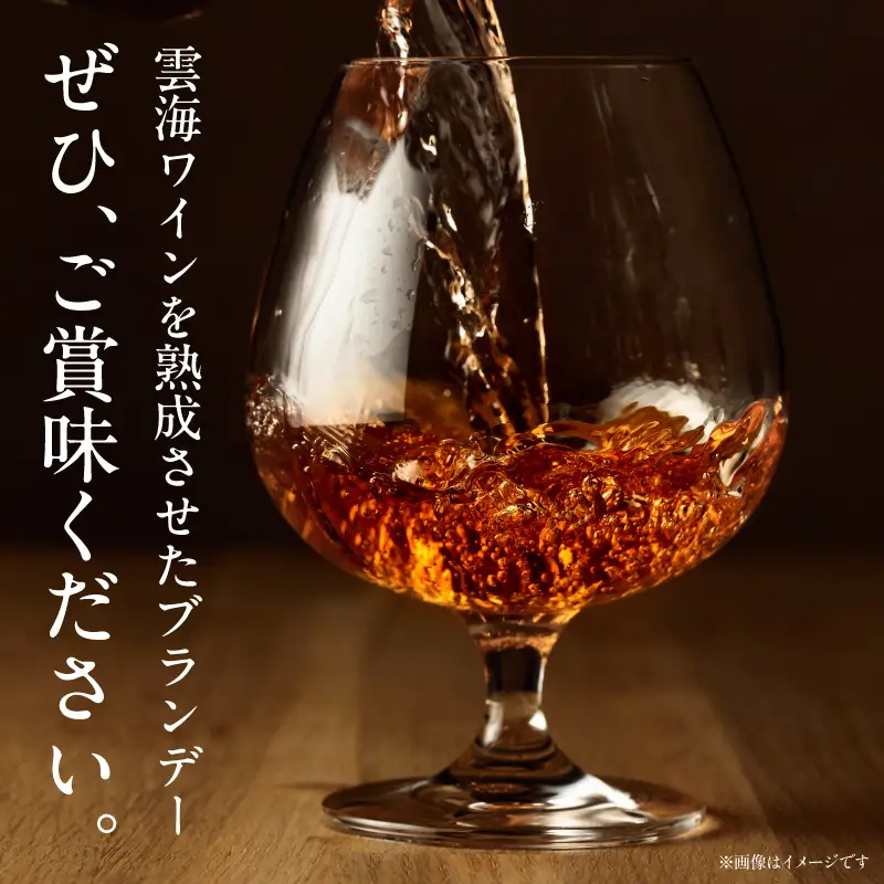 ブランデー 熟成 ブランデー[【最速便】雲海葡萄酒醸造所 720ml 国産 国産ブランデー 酒 洋酒 お酒 アルコール 果実酒 葡萄酒 蒸留 贈答用 贈り物 ギフト プレゼント 記念日 誕生日 イベント 手土産]