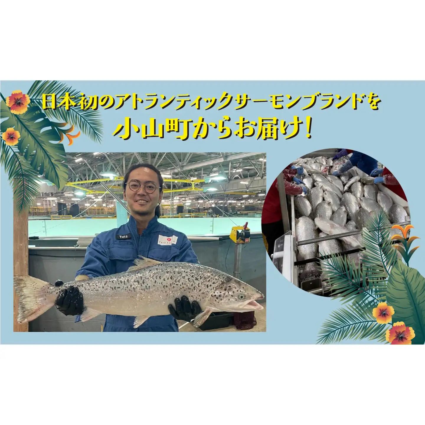 ポキ丼 サーモン 冷凍 食べ比べ 約160g/約130g×3P×4つの味 サーモン