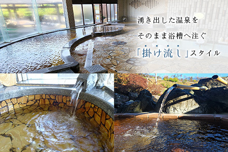 源泉掛け流し 天然温泉［サン・ルピナス］温泉チケット11枚 新富町温泉健康センター 入浴券 無期限 温泉利用券【C454】