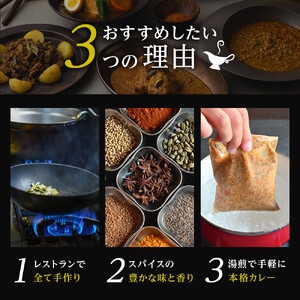 【食べ比べ】人気スパイスカレー6種セット