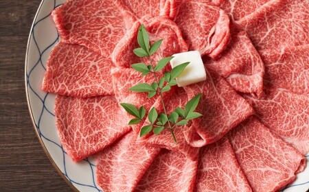 【訳あり】【A4～A5】 長崎和牛 しゃぶしゃぶ すき焼き 約750gセット ／ 和牛 牛肉 ぎゅうにく お肉 おにく 肉 にく モモ もも 肩ロース 肩バラ バラ すき焼き スライス 切り落とし お祝い 記念日 ギフト 贈り物 贈答 セット 長崎県 時津町 冷凍