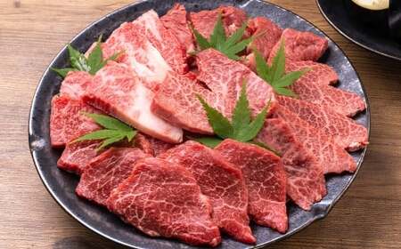 【訳あり】【A4～A5】 長崎和牛 焼肉用 約1kg （約500g×2パック） ／ 和牛 牛肉 ぎゅうにく お肉 おにく 肉 にく バラ 肩ロース モモ 焼肉 やきにく バーベキュー BBQ 長崎県 時津町 冷凍