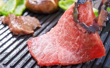 【訳あり】【A4～A5】 長崎和牛 赤身 モモ焼肉用 約500g ／ 和牛 牛肉 ぎゅうにく お肉 おにく 肉 にく 牛もも 牛モモ もも モモ 焼肉 やきにく バーベキュー BBQ 長崎県 時津町 冷凍