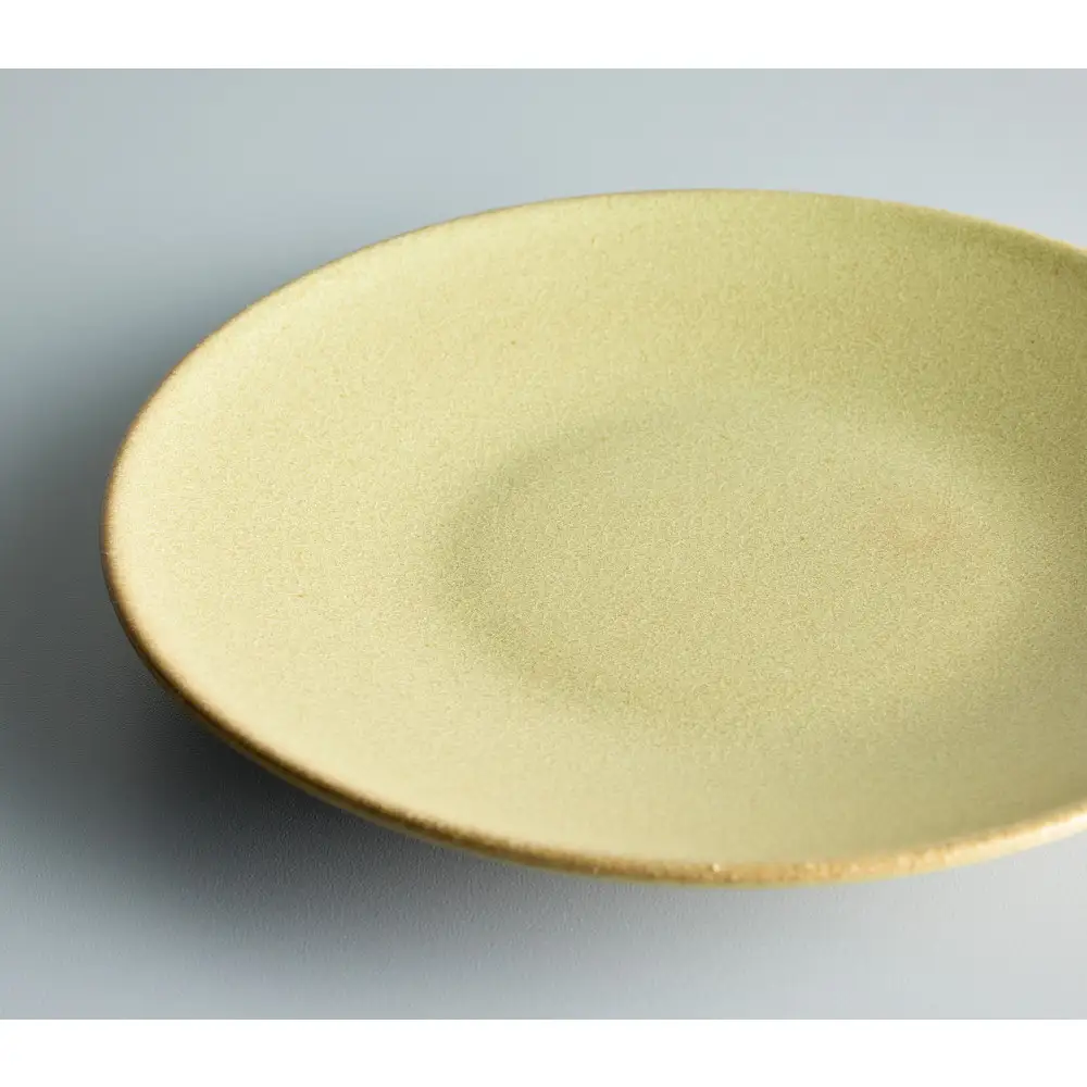 Tableware Flat Plateペアセット24cm 鶯