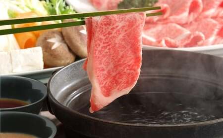 【厳選部位】【A4～A5】 長崎和牛 サーロイン しゃぶしゃぶ すき焼き用 約500g ／ 和牛 牛肉 ぎゅうにく お肉 おにく 肉 にく 牛サーロイン スライス すき焼き 長崎県 時津町 冷凍