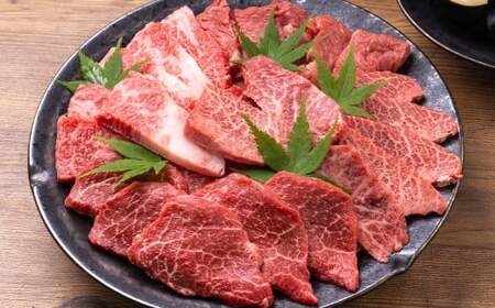 【訳あり】【A4～A5】 長崎和牛 焼肉切り落とし （肩ロース・バラ） 約500g ／ 和牛 牛肉 ぎゅうにく お肉 おにく 肉 にく 肩ロース バラ カルビ 切り落とし 焼肉 やきにく BBQ 長崎県 時津町 冷凍