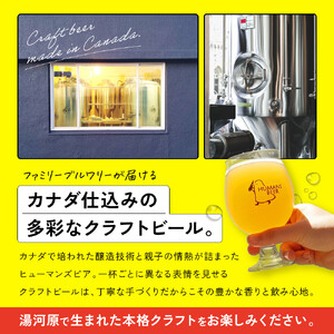 湯河原温泉のクラフトビール【ヒューマンズビア】おまかせ6本セット | 湯河原町 湯河原温泉 クラフトビール おまかせセット 醸造所
