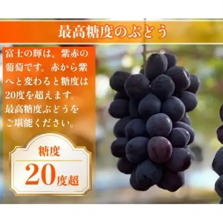 サンシャインレッド 富士の輝 シャインマスカット 2kg 3房(各1房)【配送不可地域：離島】【1694811】