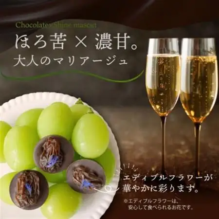 【2026年12月発送開始】山梨産シャインマスカットレーズンのチョコレートマンディアン 5個入【1694883】