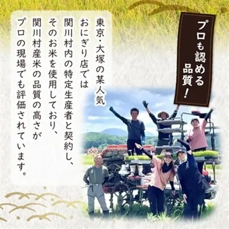 【毎月定期便】炊きたてつやつや 新潟関川村産 岩船米こしひかり精米 5kg [星山米店]全3回【4079623】