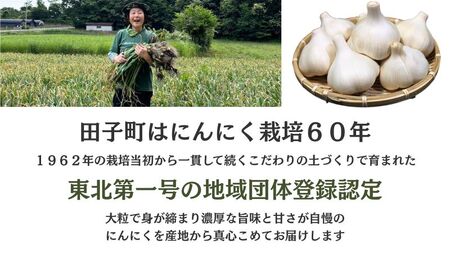 日本一ブランドたっこにんにくMサイズ10玉（青森県田子町産にんにく）