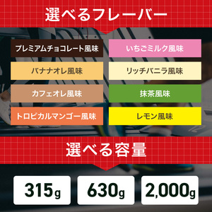 【定期便3回】DNS プロテインホエイ 100 バナナオレ 風味 2000g