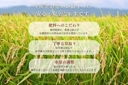 北海道奈井江産ゆめぴりか『奏穂（かなでほ）』　1kg　栽培期間中農薬不使用米（化学肥料5割減）