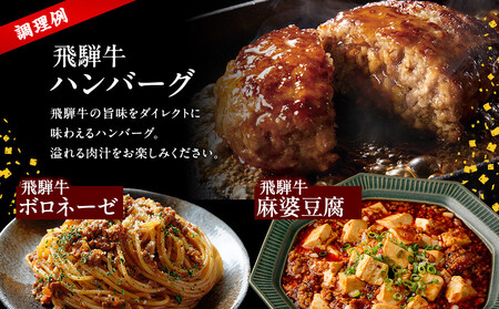 飛騨牛ミンチ500g | 人気 おすすめ ギフト ご褒美 ミンチ 飛騨牛 牛 ハンバーグ ジューシー お肉 冷凍 お取り寄せ 飛騨高山ミート MZ039