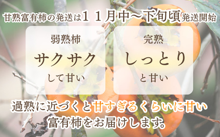 先行予約 富有柿  約2.5～3kg 秀優混合 サイズ混合 【2026年11月中旬～12月下旬頃発送予定】～こんな美味しいの「食べるのはじめてや!」の感動をお届けします。～ / 柿 富有柿 和歌山県 かつらぎ町 秋の味覚 フルーツ 果物 甘い 美味しい 旬【G-art044】