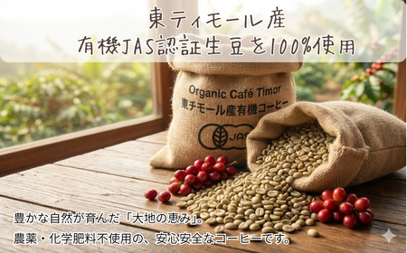 しかめがね 自家焙煎珈琲豆 100g×定期便12回 | コーヒー 豆 焙煎 ドリップ 豆 有機JAS認証 無農薬有機栽培 酸味 苦味 すっきり バランス