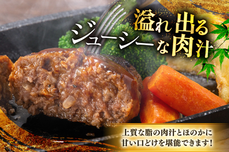 ハンバーグ 博多和牛 生ハンバーグ 140g 5個入り [JA全農ミートフーズ 福岡県 筑紫野市 21761311] 