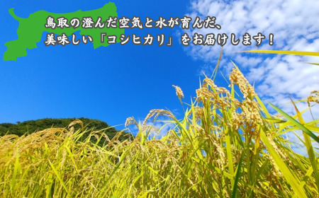 Y1072 鳥取県産「コシヒカリ」精白米10kg（令和8年産）