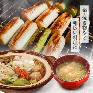 【先行予約 2026年12月～発送】白ねぎ 4kg(20～30本) 長ねぎ
