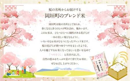 【12ヶ月定期便】福岡県産つやさくら 10kg 岡垣町 ふるさと納税返礼品 お米 こめ 精米 ご飯 ごはん 国産 定期便