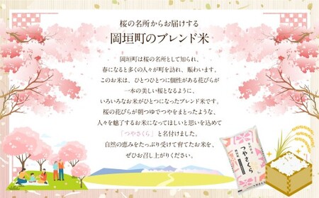 【12ヶ月定期便】福岡県産つやさくら 20kg 岡垣町 ふるさと納税返礼品 お米 こめ 精米 ご飯 ごはん 国産 定期便