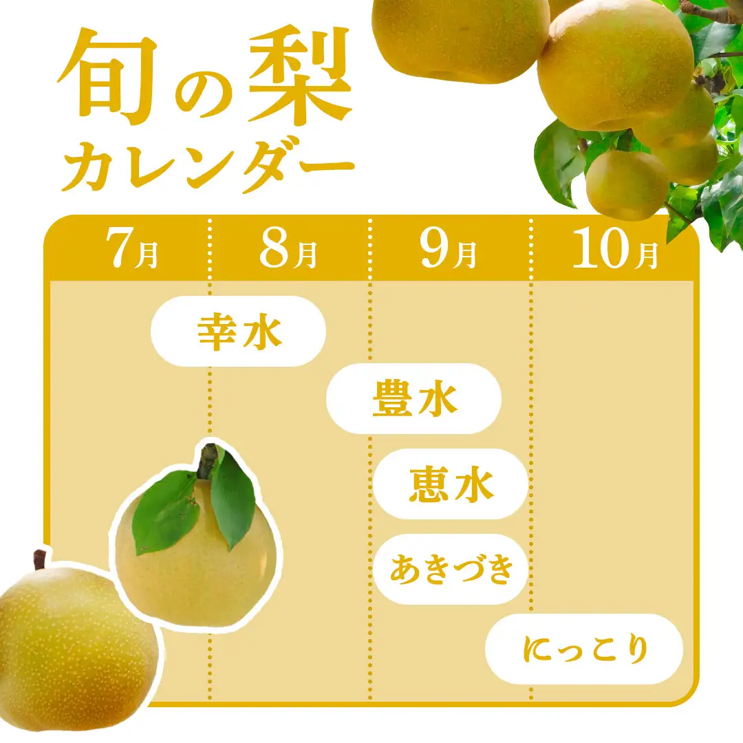 にっこり梨 約 5kg （6～10玉） 2026年産 先行予約 梨 果物 フルーツ なし ナシ にっこり くだもの デザート 茨城 [BQ023sa]