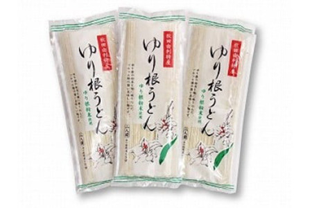 秋田県由利本荘市特産 ゆり根うどんバラ4把 合計720g (180g×4把)