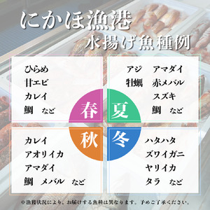鮮魚 冷蔵 クール便「 開けたらすぐ食べられる下処理済み 海産物 2～3人前 セット 」佐藤鮮魚店【 パック 詰め合わせ 海鮮セット 鮮魚ボックス 海鮮 海の幸 魚介 魚介類 刺身 切り身  秋田県 にかほ 】