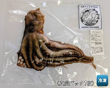 播磨町産活け〆はりだこ 1匹 タコ 海鮮 魚介類 瀬戸内 兵庫県 播磨町
