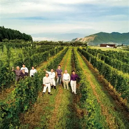 信州たかやまワイナリーのなっちょ白ワイン・ロゼワイン2本セット【配送不可地域：離島】【1402298】