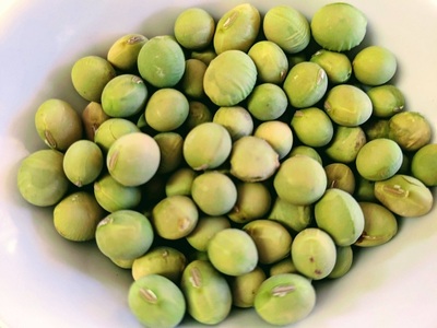 てづくりみそ『米こうじみそ 2個入り』　味噌 666g 2個 ミソ 米麹味噌 国産大豆 無添加 無農薬 甘め みそ汁 手作り 味噌汁 調味料 発酵 食品 白州産 国産 山梨県 北杜市 [h208]