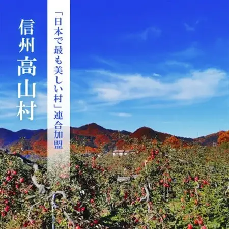【2026年先行受付】日本で最も美しい村ー信州高山村ー　旬のりんご【秀品】サンふじ・名月・他【1696201】