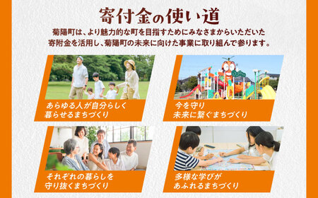 【応援寄附金】熊本県菊陽町 1口 1，000円 返礼品なしのご寄附　【菊陽町】[BHZZ001]