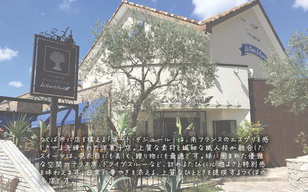 大福 原点回帰 （ 八女抹茶 ） 6個入