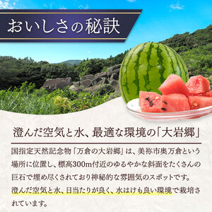 甘くて 果肉 たっぷり！ 大岩 こだま スイカ 2玉 「 神秘の里 大岩郷 よりお届け 長州の紅い宝石 」 先行予約 ＜ 2026年 7月下旬 ～ 8月頃 発送予定 ＞